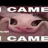 Vory Noice Gato