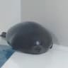 Cool Universally Nimble Tapir2