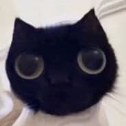 Boink