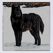 Canis lupus ligoni
