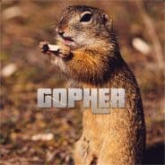 Gopher