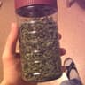 Dealing Pounds