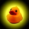 Salty Chiken