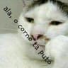 Jogador caro respeita