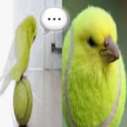 ctrl