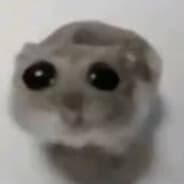 louiniz