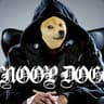 ⎛⎝snoop doge⎠⎞