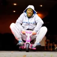 Rogal DDL