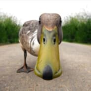SUCKMYDUCK ツ