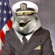 The Reel MVP