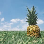 pineapple