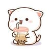 meowmeow