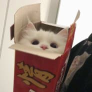 seb