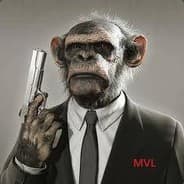 NiP allu AKRacing