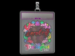 Sticker Slab | xerolte (Holo) | Budapest 2025