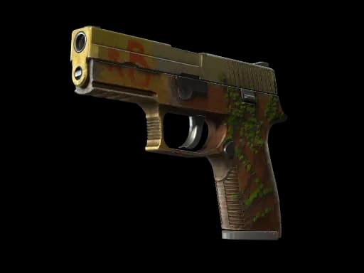 StatTrak™ P250 | Inferno (Battle-Scarred)