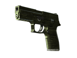 P250 | Iron Clad (Field-Tested)