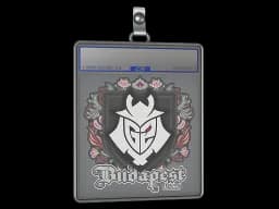 Sticker Slab | G2 esports | Budapest 2025