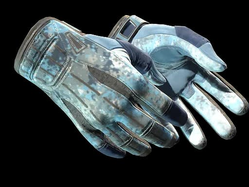 ★ Sport Gloves | Frosty (Battle-Scarred)