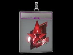 Sticker Slab | Astralis (Foil) | Boston 2018