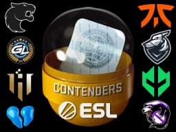 Rio 2022 Contenders  Capsule - CS2 Skin Prices