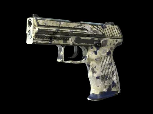 P2000 | Granite Marbleized (Well-Worn)