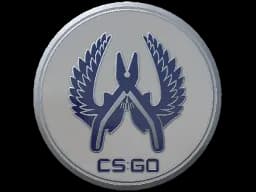 Guardian 3 Pin - CS2 Skin Prices