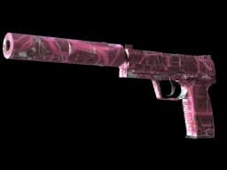 USP-S | Target Acquired CS2 skin
