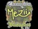 Sticker | mezii (Champion) | Budapest 2025 CS2 skin