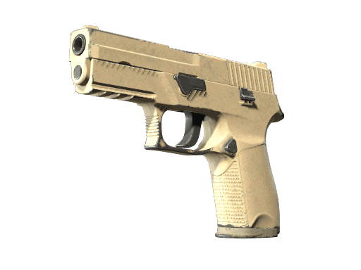 P250 | Sand Dune (Well-Worn)