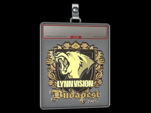 Sticker Slab | Lynn Vision (Gold) | Budapest 2025