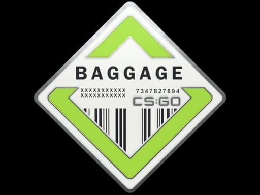 Baggage Pin
