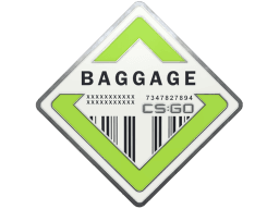 Baggage Pin