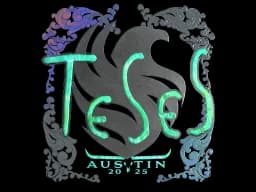 Sticker | TeSeS (Holo) | Austin 2025
