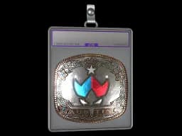 Sticker Slab | Wildcard (Foil) | Austin 2025