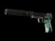 USP-S | PC-GRN CS2 skin