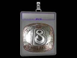 Sticker Slab | B8 (Foil) | Austin 2025