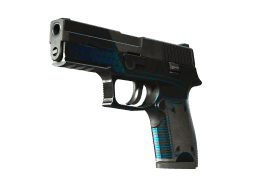 P250 | Valence (Battle-Scarred)