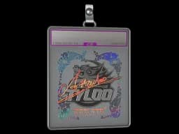 Sticker Slab | Attacker (Holo) | Austin 2025