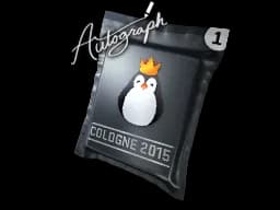 Team Kinguin - CS2 Skin Prices