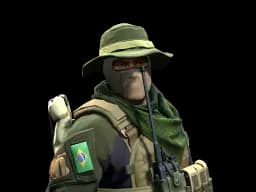 Primeiro Tenente | Brazilian 1st Battalion