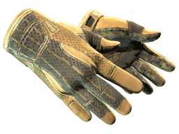 ★ Sport Gloves | Arid (Minimal Wear)