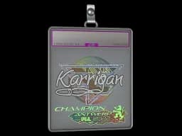 Sticker Slab | karrigan (Holo, Champion) | Antwerp 2022