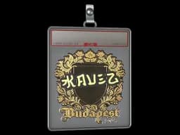 Sticker Slab | kauez (Gold) | Budapest 2025