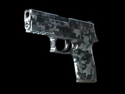 P250 | Steel Disruption (Minimal Wear)