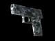 P250 | Steel Disruption CS2 skin
