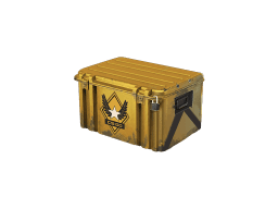 Winter Offensive Weapon Case