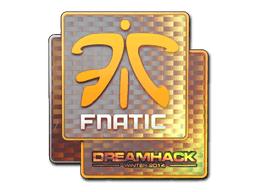 Fnatic (Holo) | DreamHack 2014