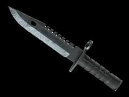 ★ M9 Bayonet | Damascus Steel (Well-Worn)