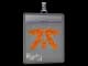 Sticker Slab | Fnatic (Glitter) | Paris 2023 CS2 skin